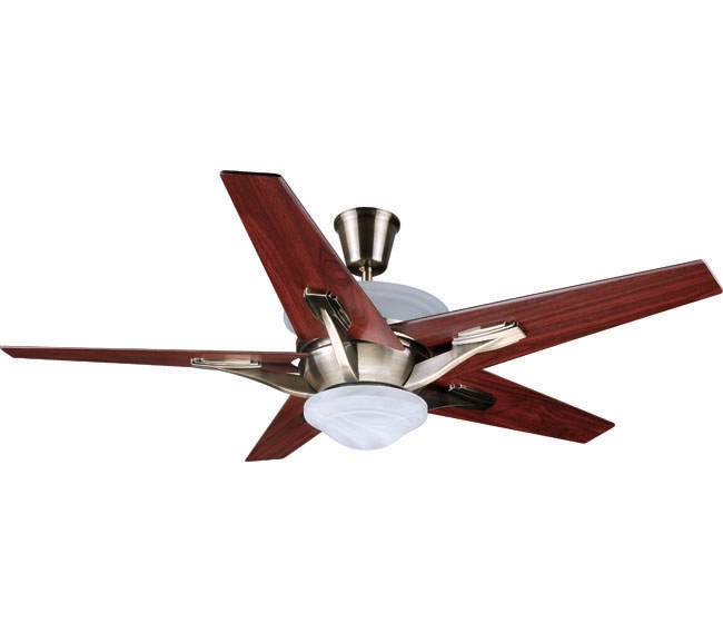 Decorative Fans
