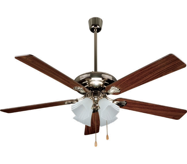 Decorative Fans