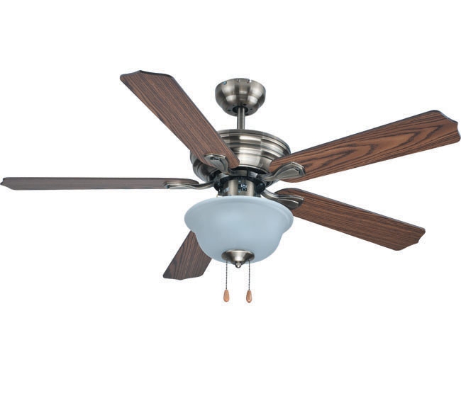 Decorative Fans