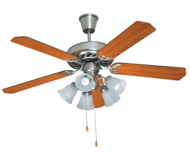 Decorative Fans