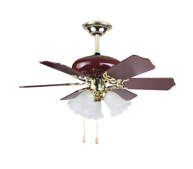 Decorative Fans