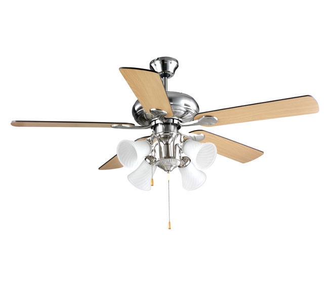 Decorative Fans