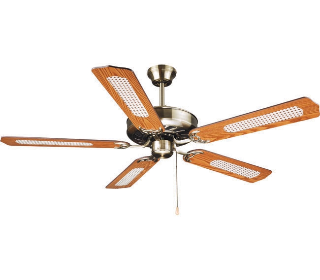 Decorative Fans