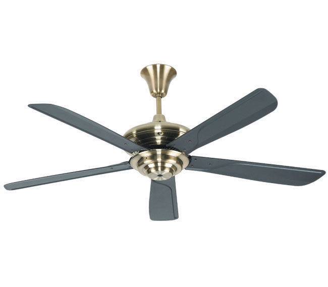 Decorative Fans