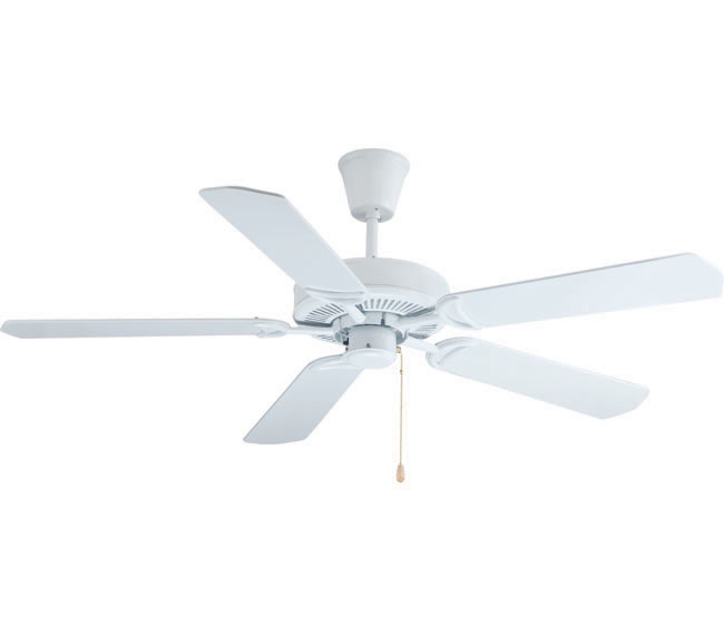 Decorative Fans