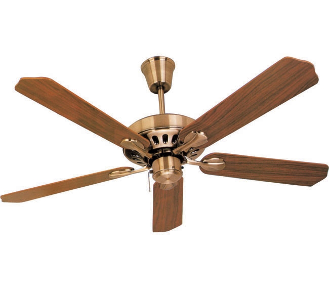 Decorative Fans