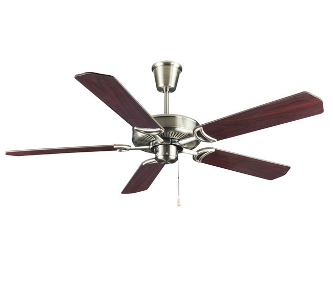 Decorative Fans