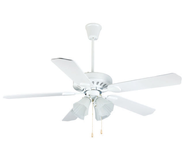 Decorative Fans
