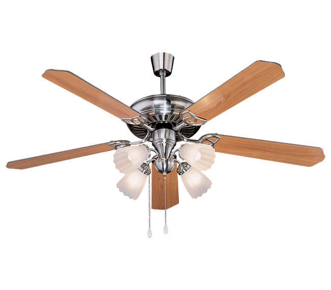 Decorative Fans