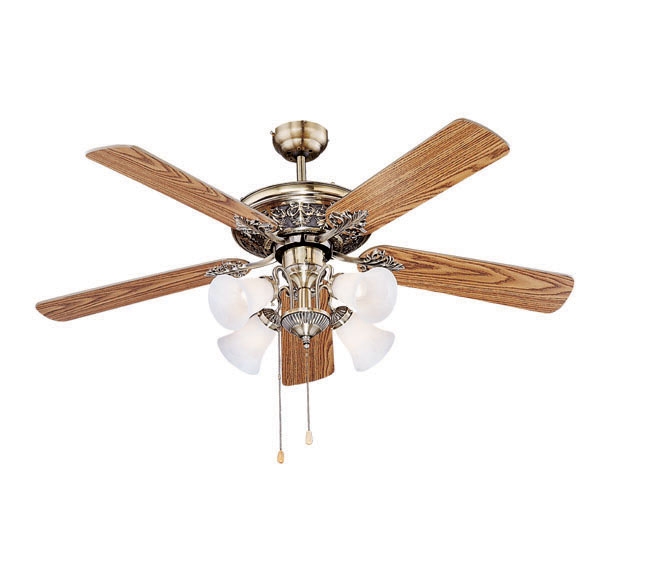Decorative Fans