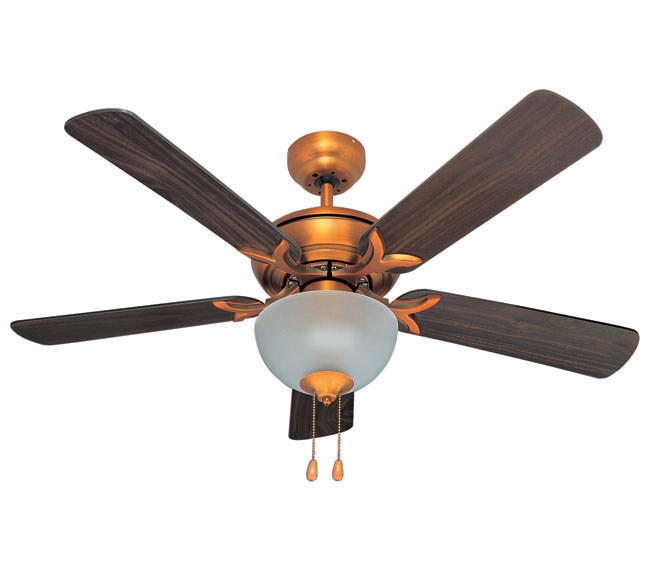 Decorative Fans