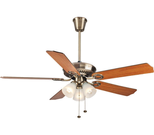 Decorative Fans