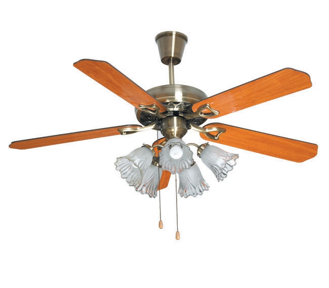 Decorative Fans