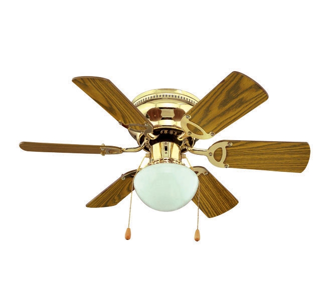 Decorative Fans