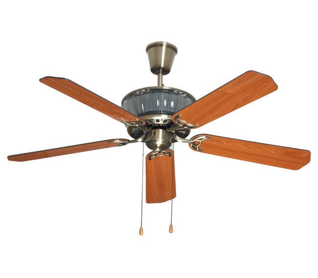 Decorative Fans