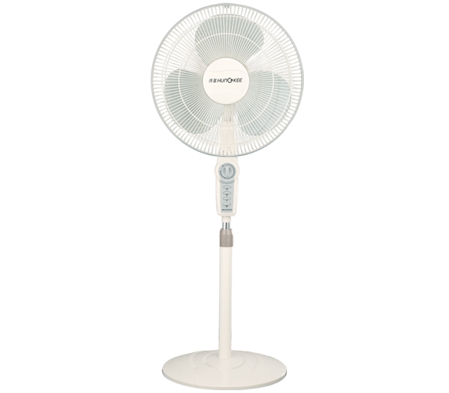 Domestic Fans
