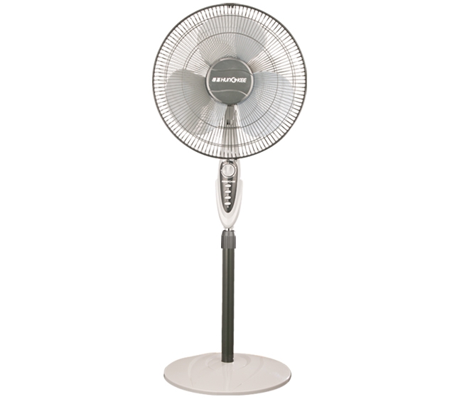 Domestic Fans