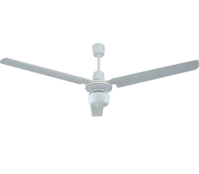 Industrial Fans