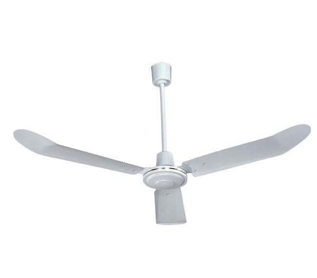 Industrial Fans